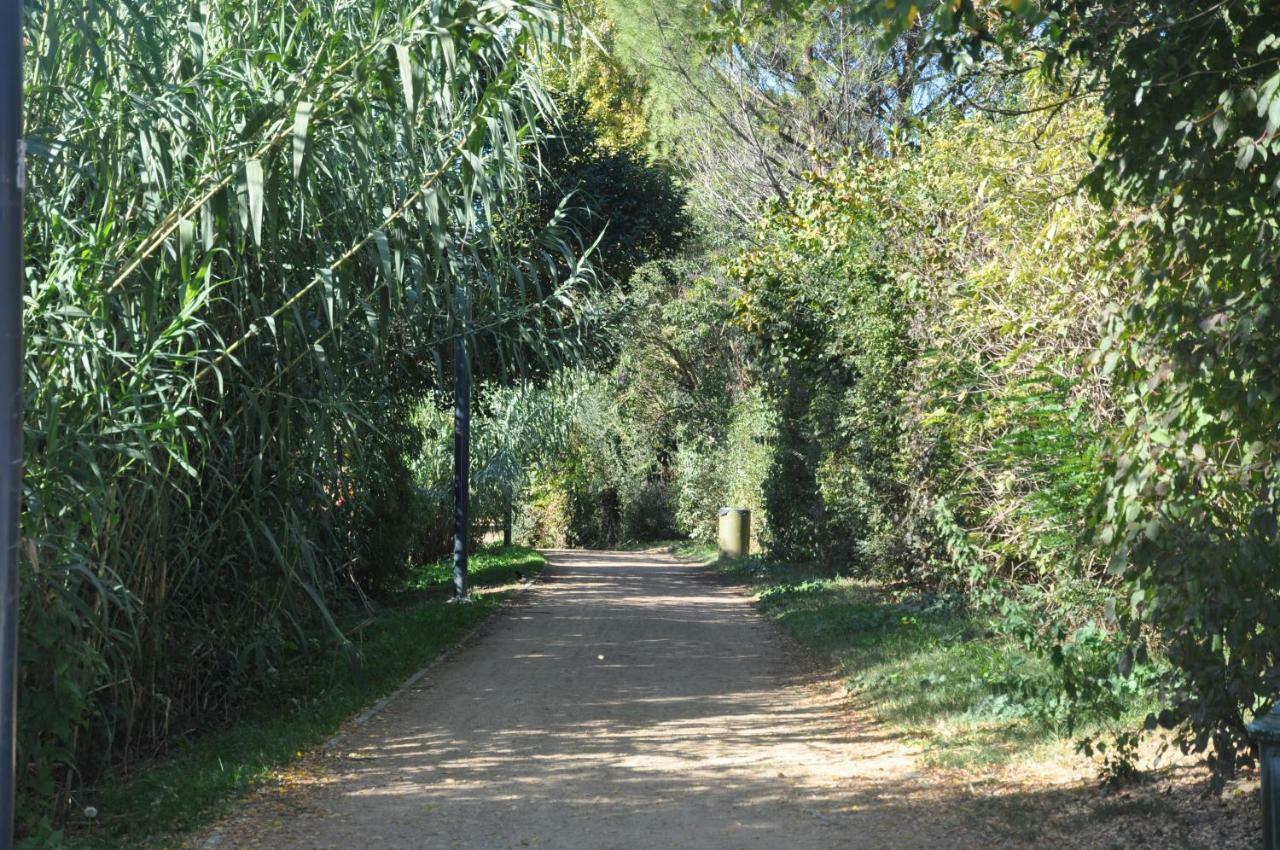 Amido Zen Otel Toulouse Dış mekan fotoğraf